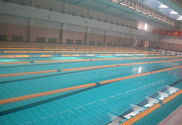 廣州珠島賓館康樂(lè)中心游泳池為室內(nèi)恒溫標(biāo)準(zhǔn)泳池，泳池水處理系統(tǒng)采用西班牙ASTRALPOOL品牌泳池設(shè)備，恒溫系統(tǒng)采用西班牙ASTRALPOOL品牌空氣源熱泵和三集一恒溫除濕一體機(jī)，我司提供技術(shù)支持及設(shè)備安裝服務(wù)。